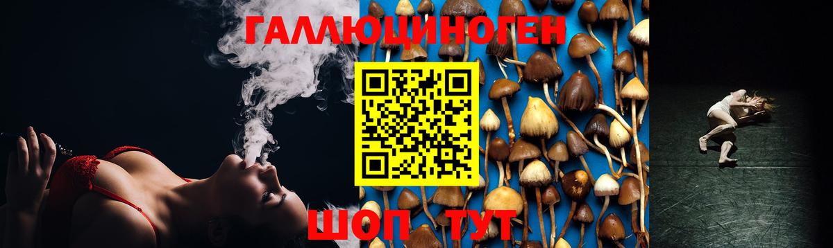 Псилоцибиновые грибы мухоморы  Вход с VPN  Россия  Галлюциногенные грибы Psilocybine cubensis 
