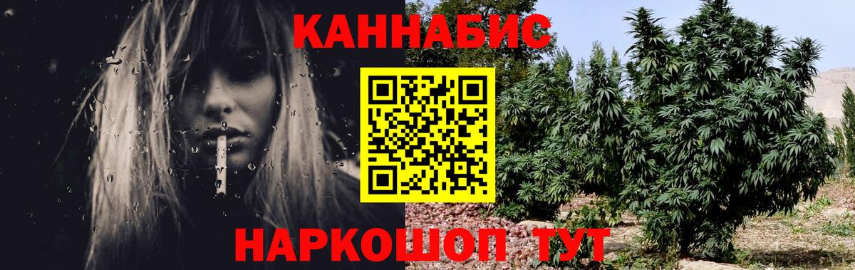 Каннабис конопля Россия